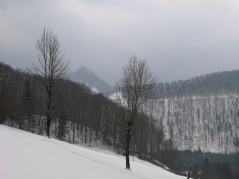 spitzkogel